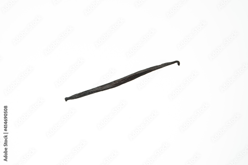 Single vanilla bean pod isolated on white background studio shot Single vanilla bean pod isolated on white background studio shot