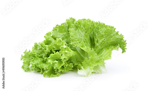 lettuce salad leaves on white background