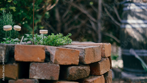 Obraz na plátne herb spiral in garden made of bricks with herbs