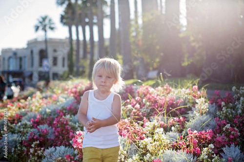 Cute toddler blond boy, sitting on sidewalk next to blooming flowers