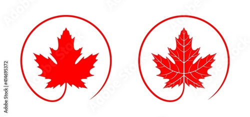 Maple leaf logo. Isolated maple leaf on white background photo