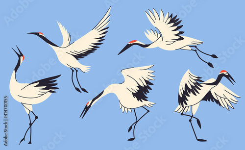 Crane birds collection isolated vector illustration. Stork, egret, heron design element set. Asian creature, Japane wildlife in cartoon style.