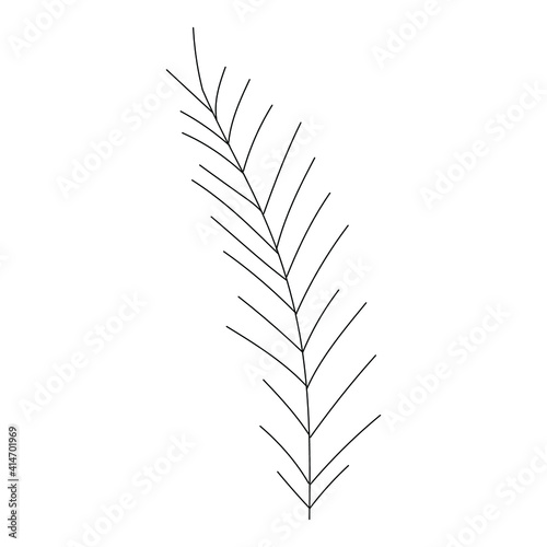 Vector hand drawn plant - leaves Black and white. Template design for sail, wedding save date, envelope, valentine, for party, holiday decor.