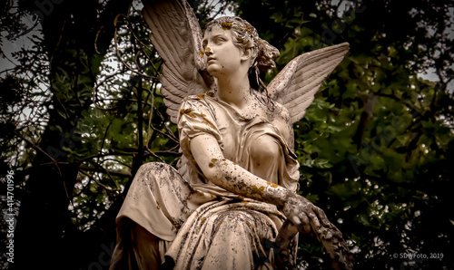 Angel in Park