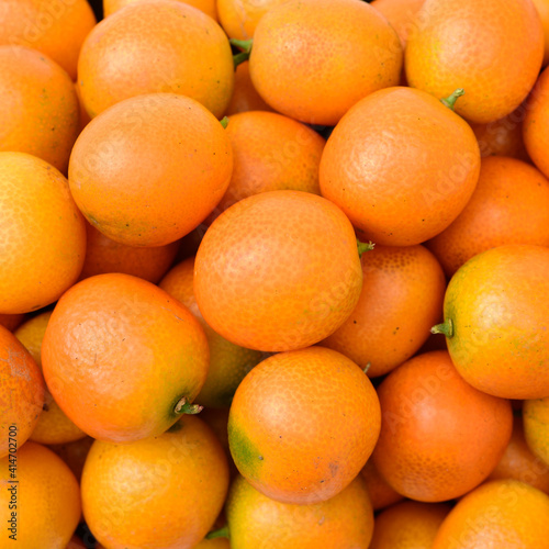 kumquat on white background