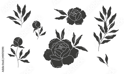 peony flower and leaves, vector silhouette, outline drawing