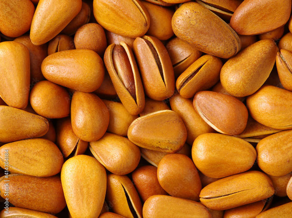 Pine nuts on white background Pine nuts on white background
