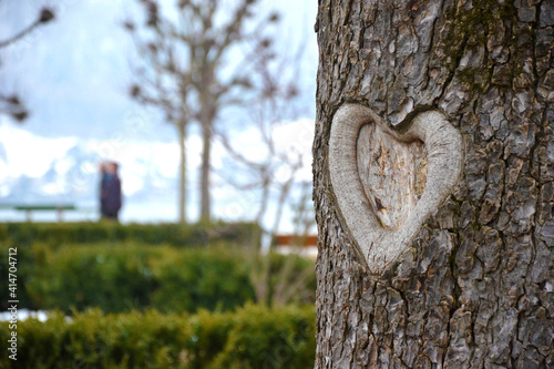 Foto Geschnitztes Herz in einem Baum - Carved heart in a tree in Gmunden