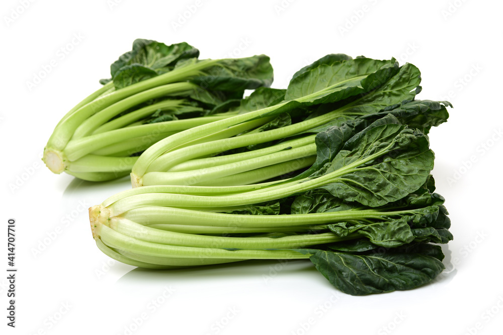 Fresh harvested Tah Tsai lettuce isolated on white. Tah Tsai or (Tatsoi) a commly used green leaf vegetable in Chinese and oriental dishes. Fresh harvested Tah Tsai lettuce isolated on white. Tah Tsai or (Tatsoi) a commly used green leaf vegetable in Chinese and oriental dishes.