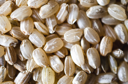 Close-up of Yamani rice. Top view. 