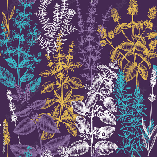 Mints and balms seamless pattern. Hand sketched aromatic and medicinal herbs background. Herbal tea ingredients. Mint plants for cosmetics, perfumery, textile, wrapping, packaging, fabric.