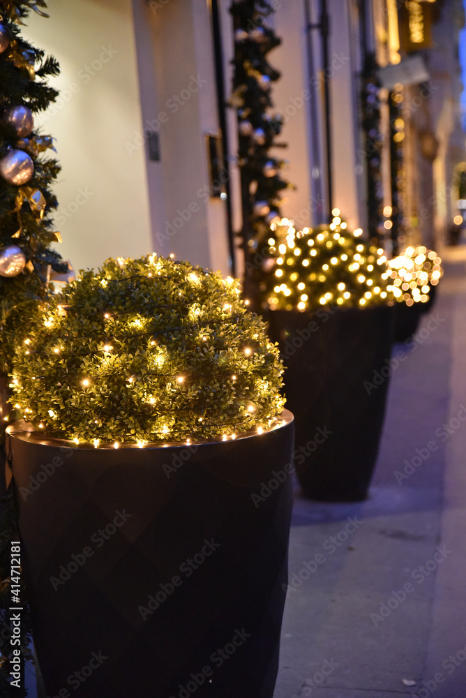 Plantes décorées à Noël
