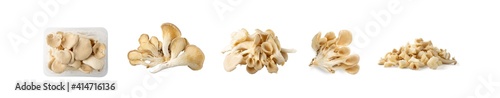Raw Fresh Oyster Mushrooms, Pleurotus or Abalone Mushrooms