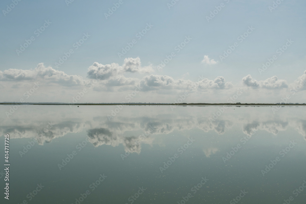 reflejo de cienaga