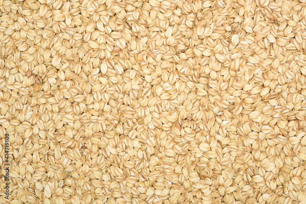 The texture of oatmeal. The texture of oatmeal.
