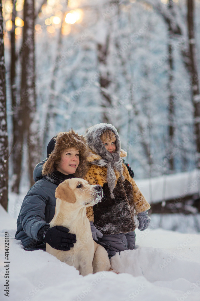 Obraz premium brother and sister play in the snow in winter