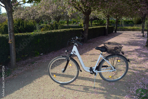 A white bicycle in a blooming park in spring