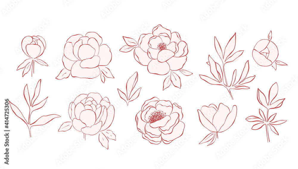 Fototapeta premium Hand drawn line art peony flowers collection isolated on white background. Set of pink peonies, buds, branches and leaves for decorative design and romantic arts. Botanical elegant elements