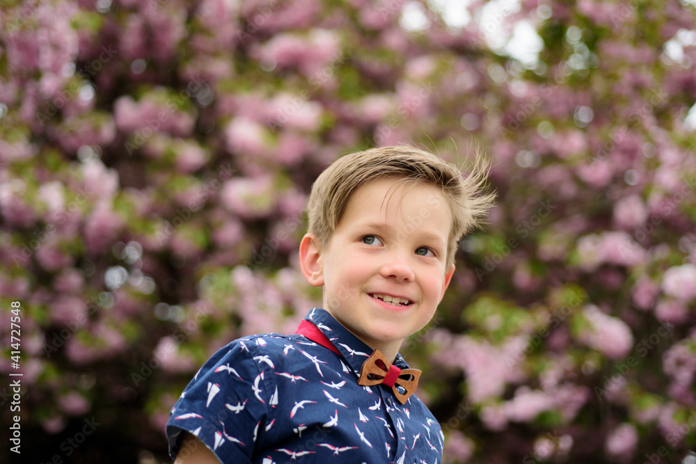 Smiling child happy boy in pink blooming japanese sakura background. Springtime bloom blossom. Smiling child happy boy in pink blooming japanese sakura background. Springtime bloom blossom.