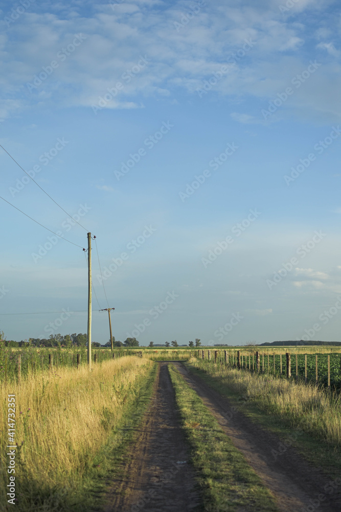 camino rural soleado tierra plantacion