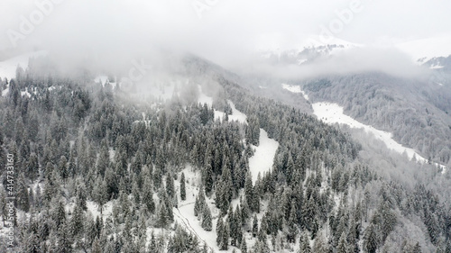 Beautiful foggy winter landscape of Carpathians with forest covered with snow, horizontal winter outdoor, no people,