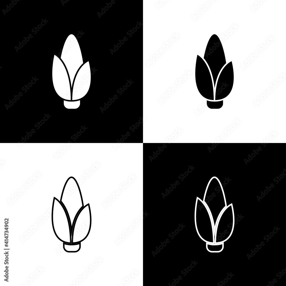 Set Corn icon isolated on black and white background. Vector.