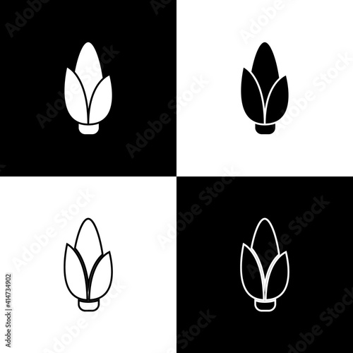 Set Corn icon isolated on black and white background. Vector. © vector_v