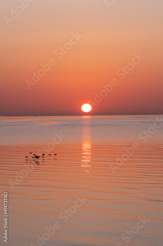 Beach Sunrise