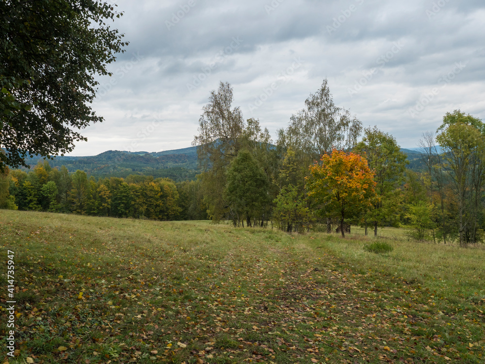Naklejka premium Meadow with autumn colorful forest, trees and hills, moody sky. Landscape in Luzicke hory Lusatian Mountains, Czech Republic.