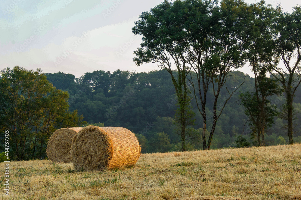 Two final hay bales in the sunrise