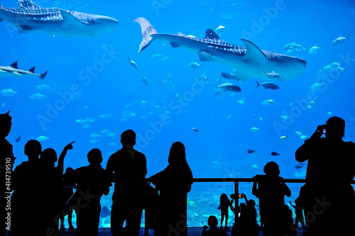 Aquarium Life in blue color water and kids with family watching them