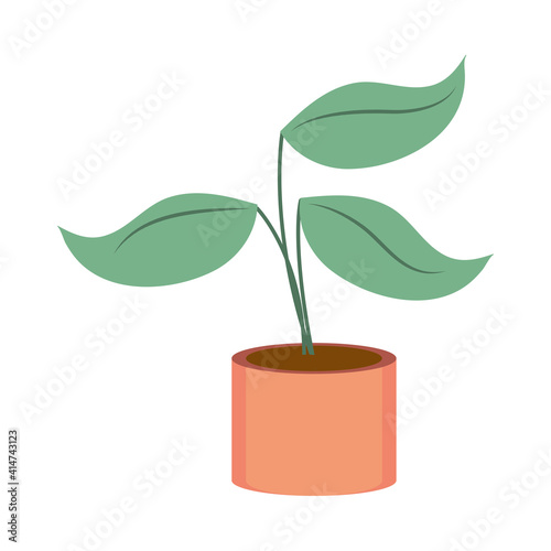 gardening plant in pot icon on white background
