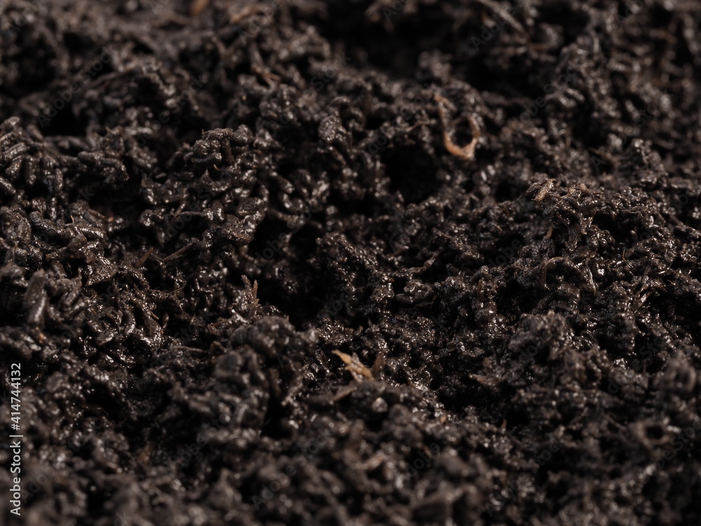 vermicompost processed by worms for planting seedlings vermicompost processed by worms for planting seedlings