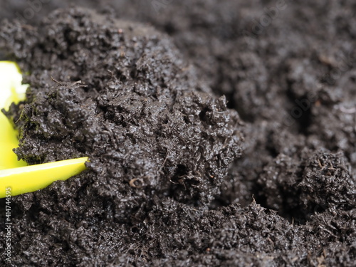 vermicompost processed by worms for planting seedlings photo