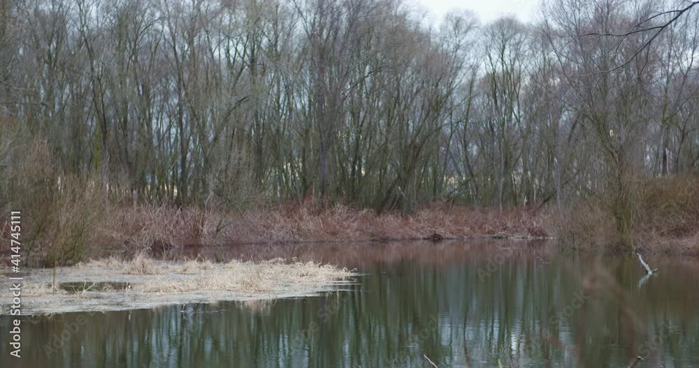 Flowing River in Winter Outdoors Flowing River in Winter Outdoors