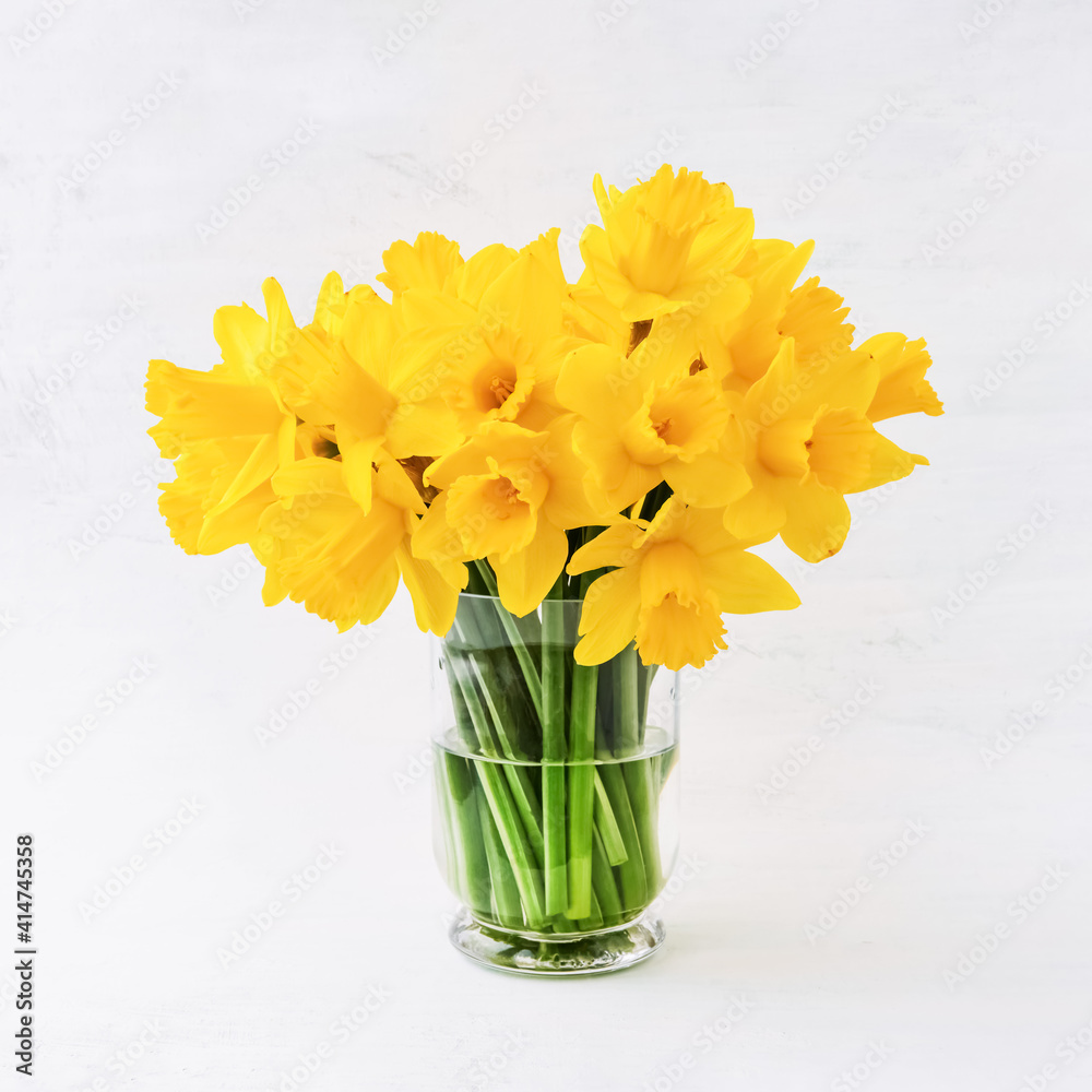 Yellow narcissus or daffodil bouquet in a glass vase on light background. Holiday background, copy space
