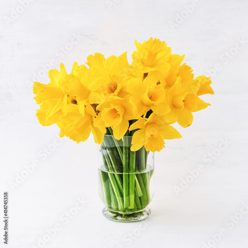 Fototapeta Naklejka Na Ścianę i Meble -  Yellow narcissus or daffodil bouquet in a glass vase on light background. Holiday background, copy space