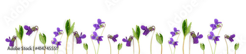Panorama spring flowers pattern.