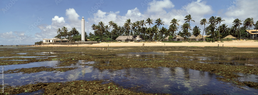 Coqueiros e farol na Praia do Forte - maré baixa