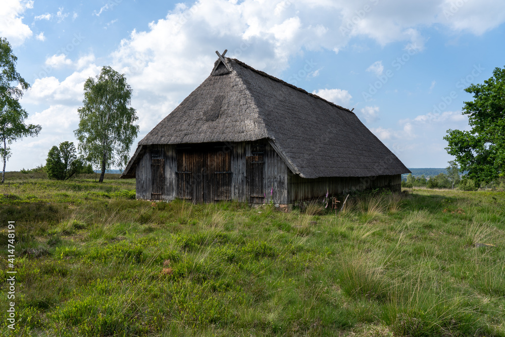 Characteristic stable for German moorland sheep with a straw roof in the natural preserve Lueneburger Heide Characteristic stable for German moorland sheep with a straw roof in the natural preserve Lueneburger Heide