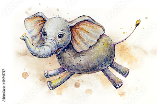 Photography Savannah animals funny character - baby elephant