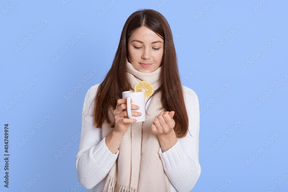 Cute woman wrapped in scarf, holding cup of tea with lemon, female with dark hair looking down on her hand, wearing casual white sweater, posing isolated over blue background, Cute woman wrapped in scarf, holding cup of tea with lemon, female with dark hair looking down on her hand, wearing casual white sweater, posing isolated over blue background,