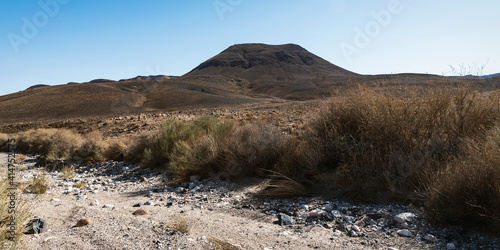 Mount Arod a volcanic basalt hill in the Makhtesh Ramon crater in Israel with the Nahal Ramon stream bed and typical desert vegetation against a clear blue sky photo