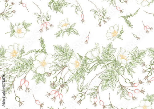 Rose hips with flowers and berries seamless pattern. Graphic drawing, engraving style. Vector illustration on white background