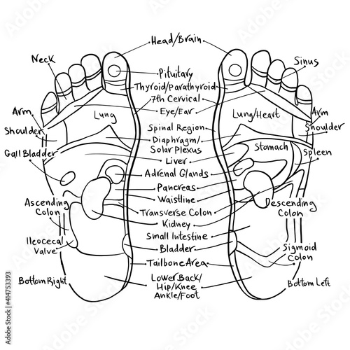Foto sketch of feet - Reflexology