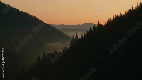 Aerial view of sunrise in the misty forest. Foggy golden sunset in mountains. Flying over green trees valley. Morning mist, country fields, sun rising above the horizon. Scenic nature landscape.