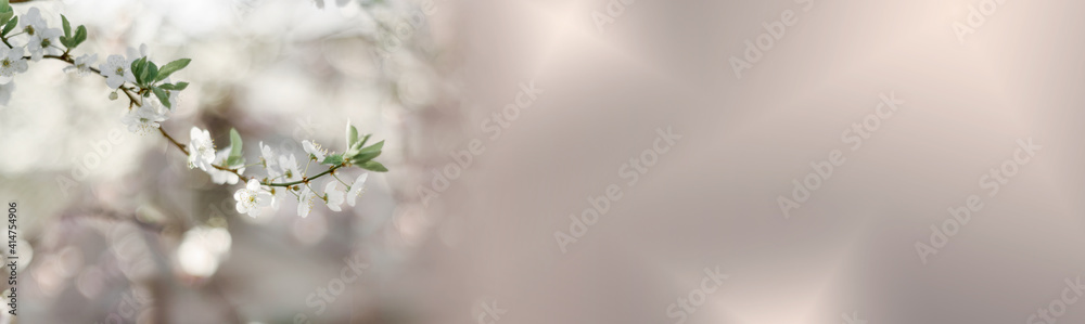 Blossoming tree brunch with white flowers on bokeh pastel background - obrazy, fototapety, plakaty 