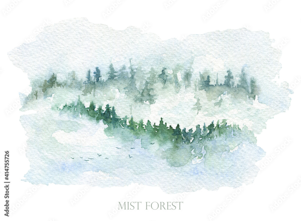 Fototapeta Pine forest in fog, mist mountain landscape