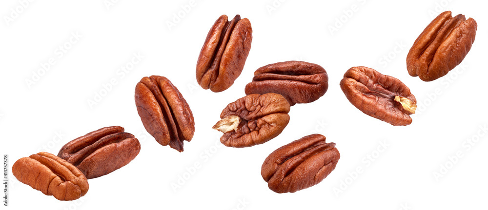 Pecan nuts isolated on white background with clipping path - obrazy, fototapety, plakaty 