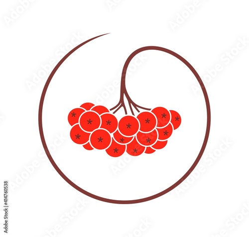 Rowan berries logo. Isolated rowan on white background